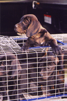 I am busting out of this joint!