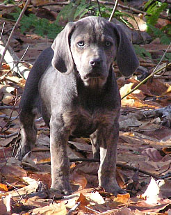 What is the hold up back there?