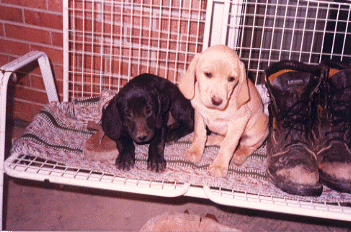 We didn't do anything, honest!