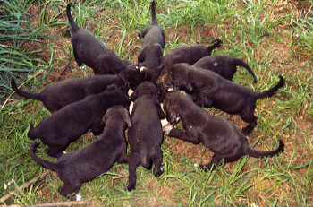 Let me see!  Let me see!