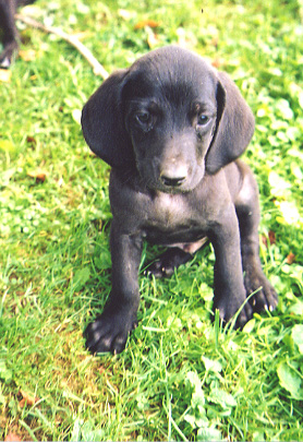 What are you looking at!