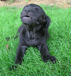 Something does not smell good!